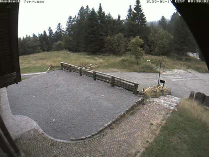 2025-08-17