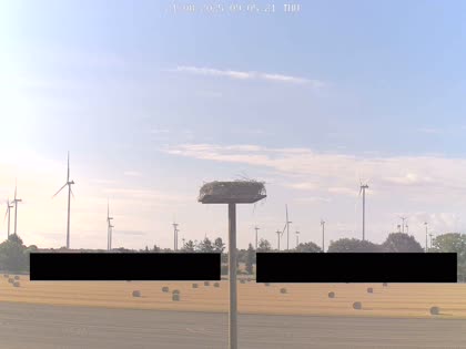 2025-08-21