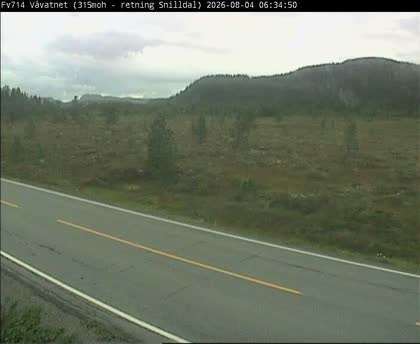 2026-08-04