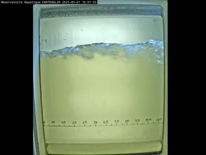 2025-05-01
