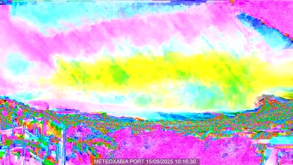 2025-09-15