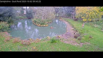 2025-10-02