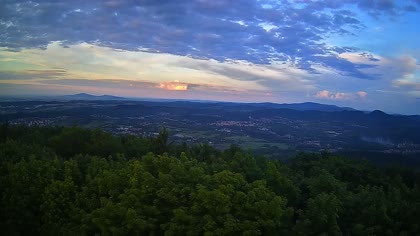 2026-06-06