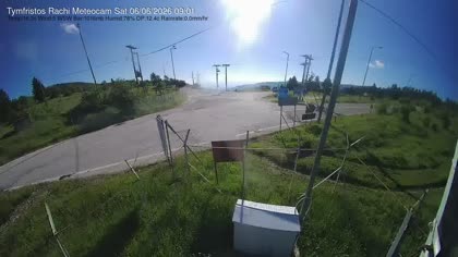 2026-06-06