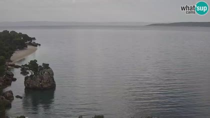2026-05-12