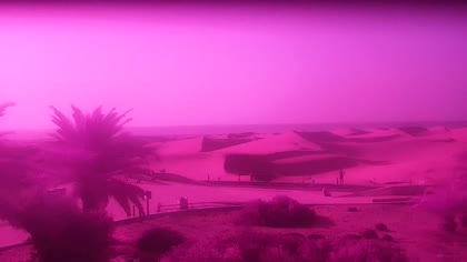 2026-09-10