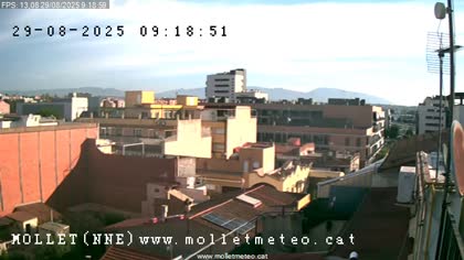 2025-08-29