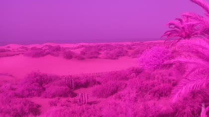 2026-07-05