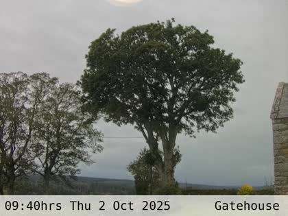 2025-10-02