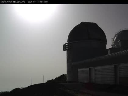 2025-07-11