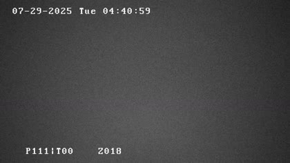 2025-07-29