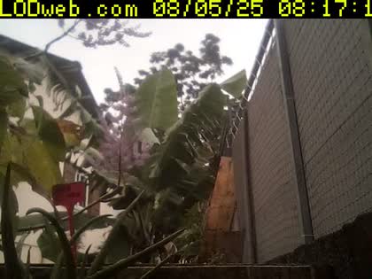 2025-08-05