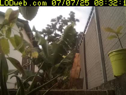 2025-07-07