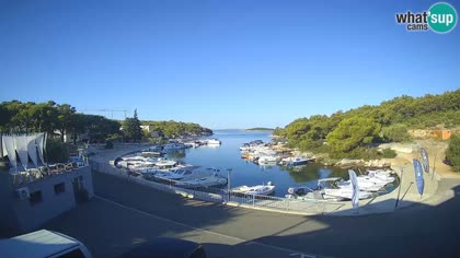 2026-08-10