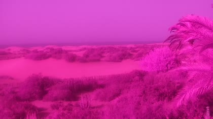 2026-09-08