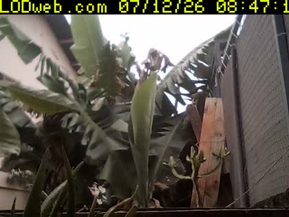 2026-07-12