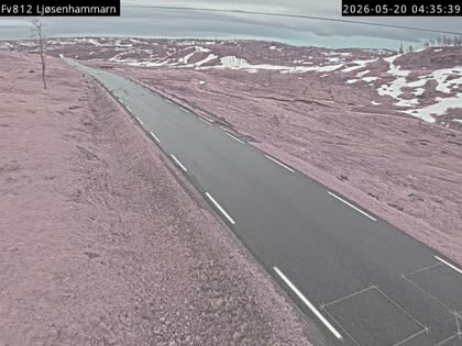 2026-05-20