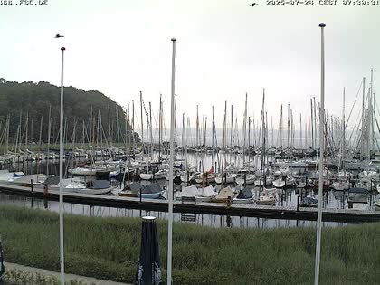 2025-07-24