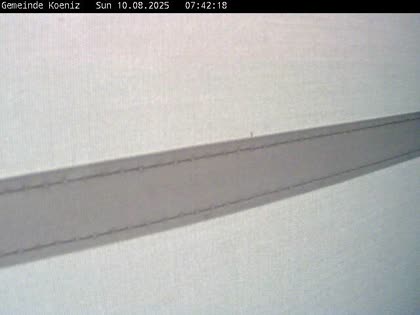 2025-08-10