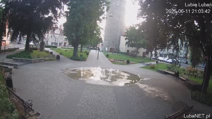 2025-06-11