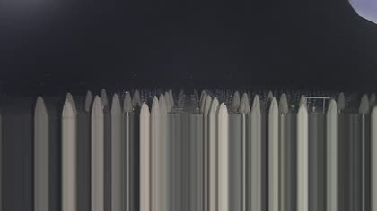 2025-08-07