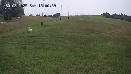 2025-08-31