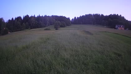2025-06-12