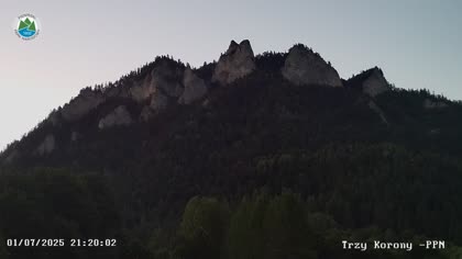 2025-07-01