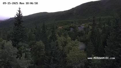 2025-09-15