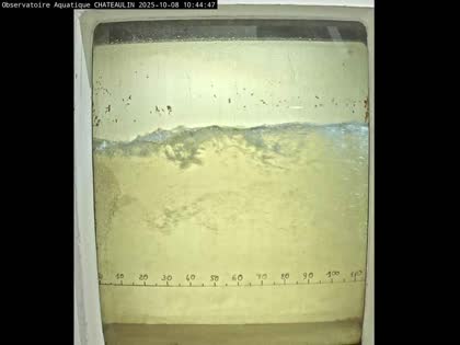 2025-10-08