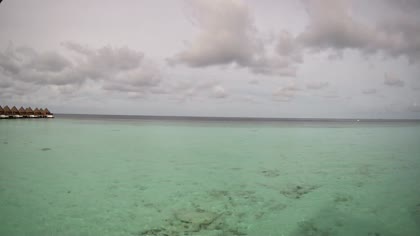 2026-08-16