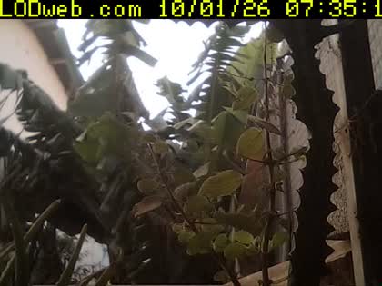 2026-10-01
