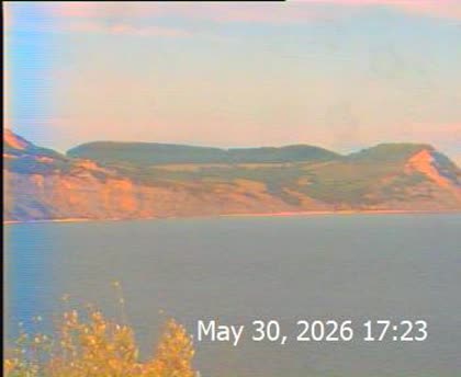 2026-05-31