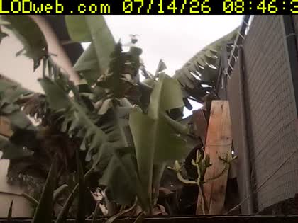 2026-07-14