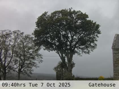 2025-10-07
