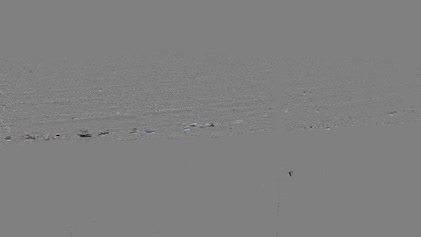 2025-06-10