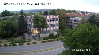 2025-07-29