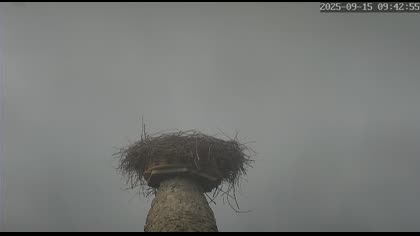 2025-09-15