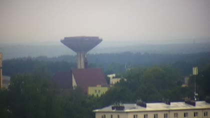 2026-07-12