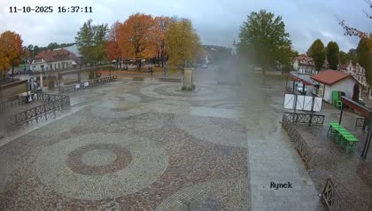 2025-10-11
