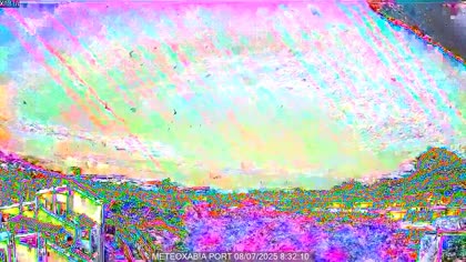 2025-07-08