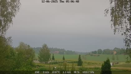 2025-06-12