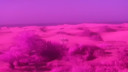 2026-08-10