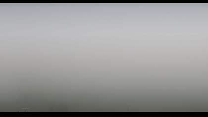 2025-07-08