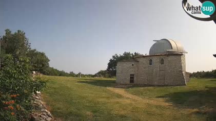 2025-06-12