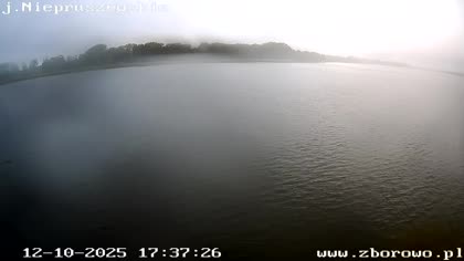 2025-10-12