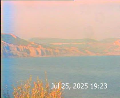 2025-07-26