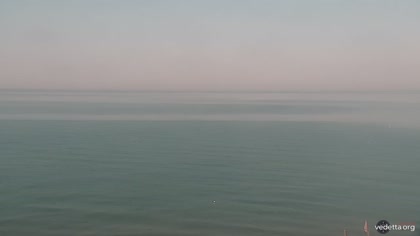 2025-08-12