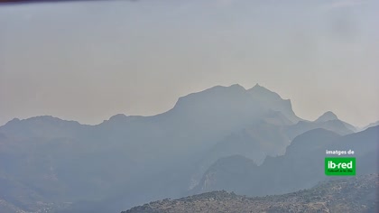 2025-08-09