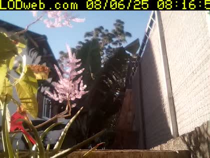 2025-08-06